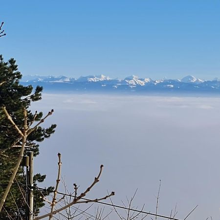 Mont Blanc Chalet Villa Grandevent Dış mekan fotoğraf