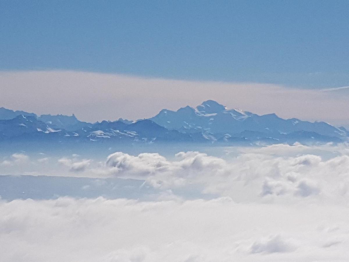 Mont Blanc Chalet Villa Grandevent Dış mekan fotoğraf