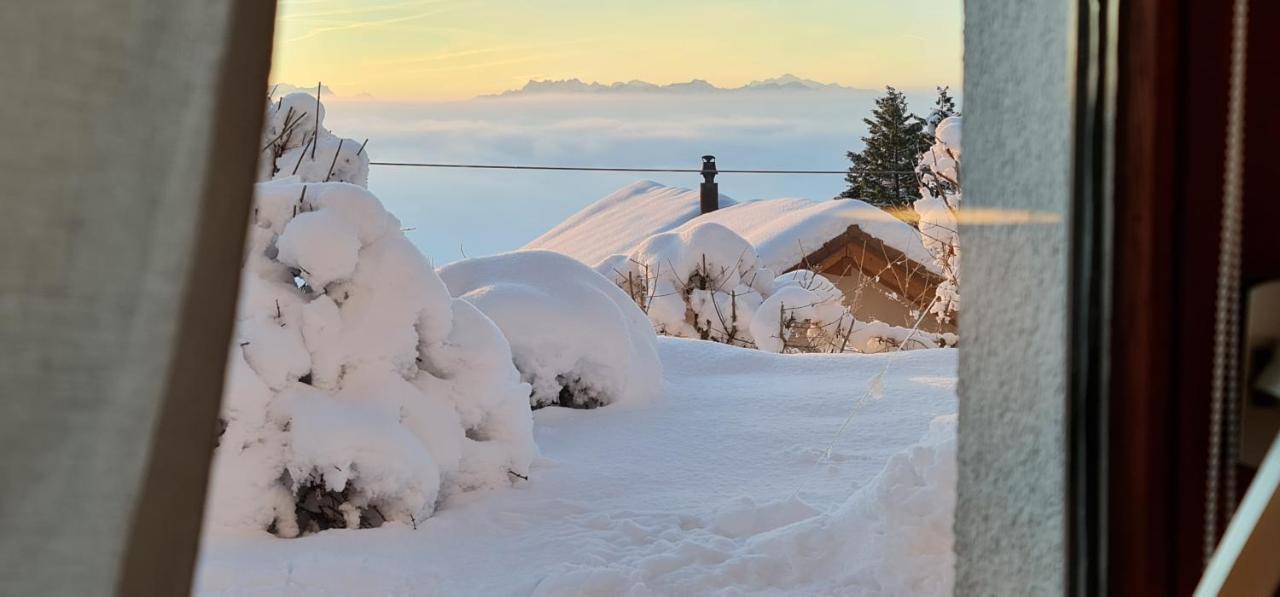 Mont Blanc Chalet Villa Grandevent Dış mekan fotoğraf