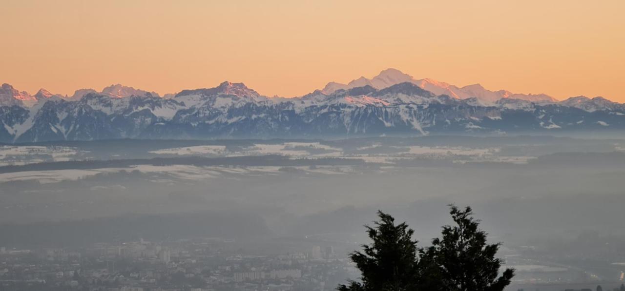 Mont Blanc Chalet Villa Grandevent Dış mekan fotoğraf