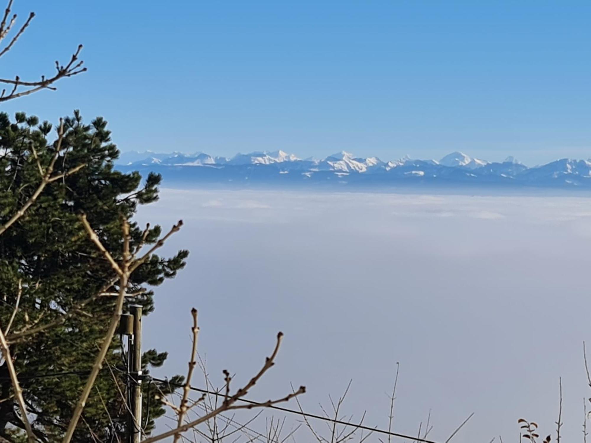 Mont Blanc Chalet Villa Grandevent Dış mekan fotoğraf